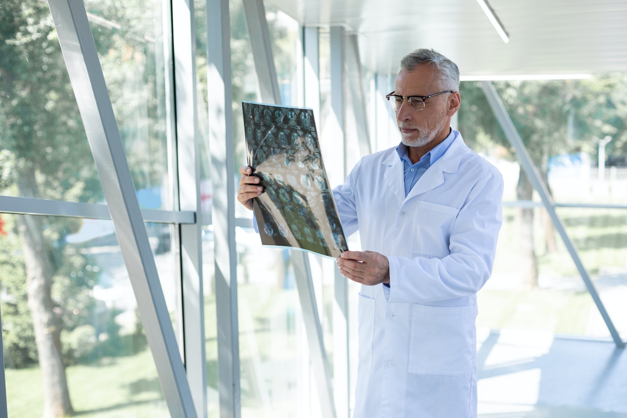 Attentive grey-haired doctor looking at X-ray picture