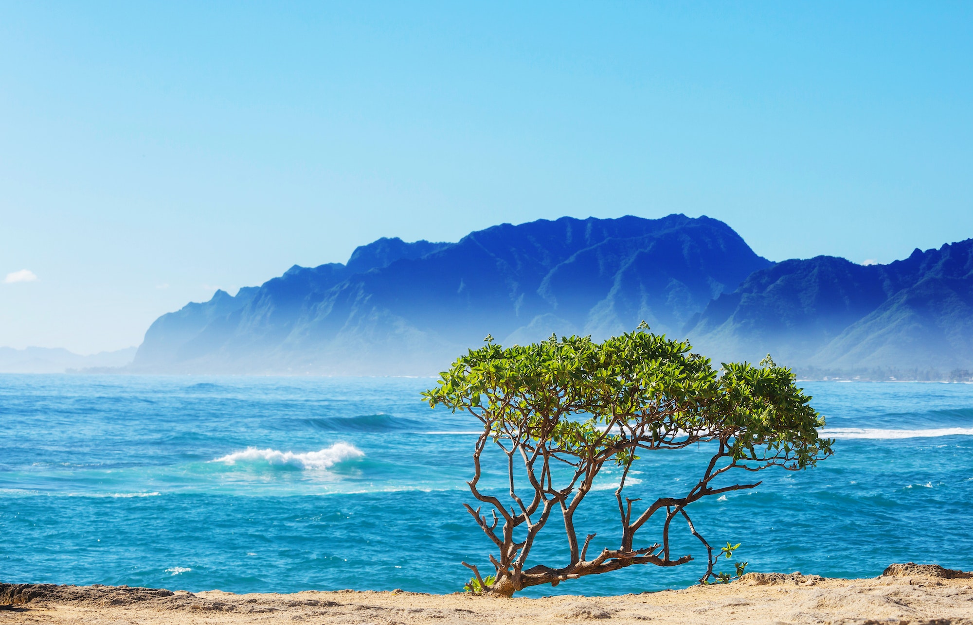 Hawaii Tourism: The Best Reasons to Visit in 2022
