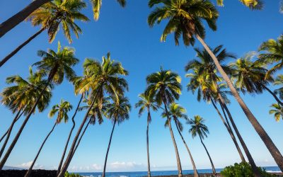 Hawaii: A Paradise for Travelers