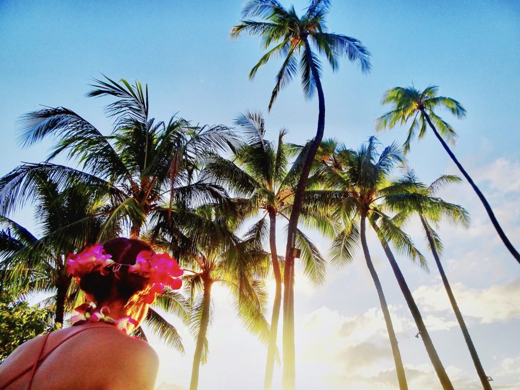 Looking up at a beautiful woman from behind with palm trees and sunset in Hawaii