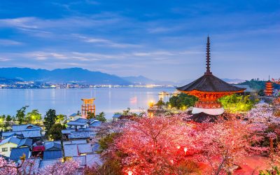 How to Make the Most of Your Japan Trip!