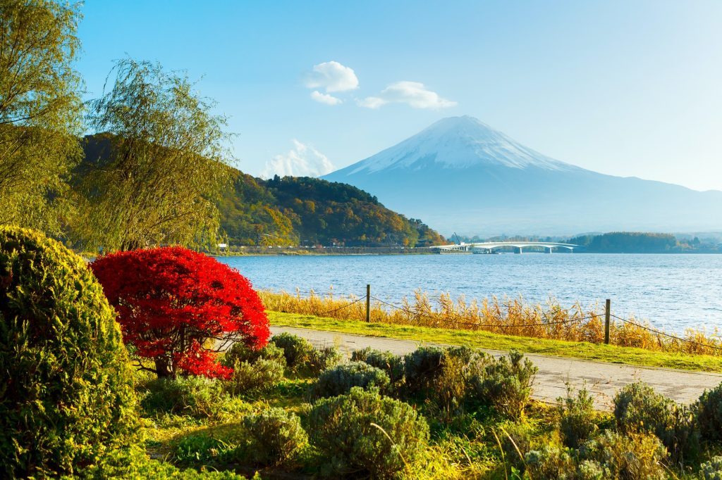 Mt. Fuji in autumn