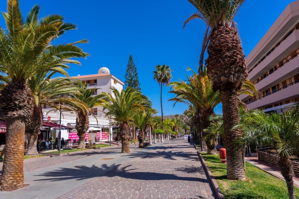 promenade-with-palm-trees-in-los-cristianos-in-the-south-of-tenerife-canary-islands-1024x682-4180116