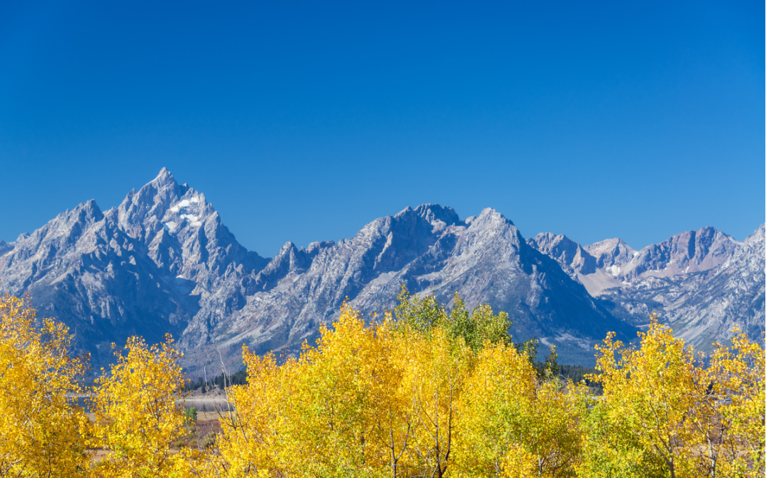 Trekking The Tetons: Your Guide To Outdoor Adventures In Wyoming 