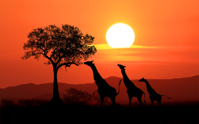 Touring East Africa: Best Vacation Spots For Families In Kenya, Tanzania, And Uganda