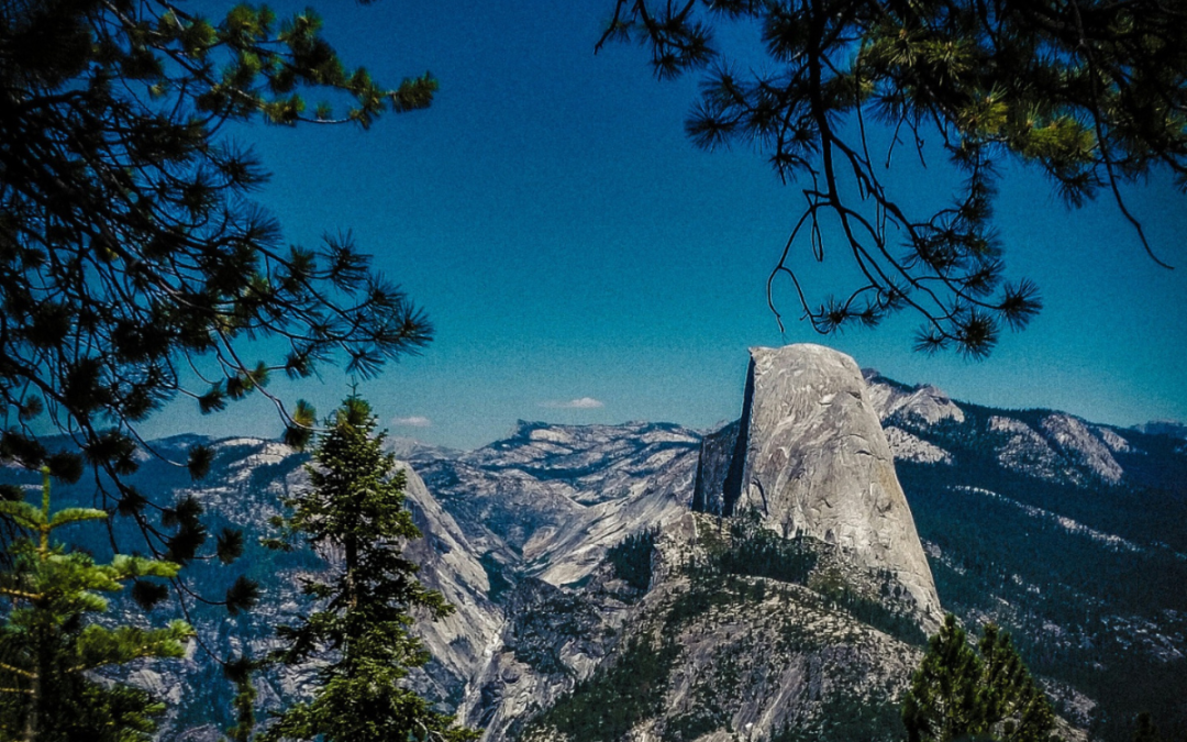 Your Ultimate Survival Guide And Essentials To The Half Dome Hike