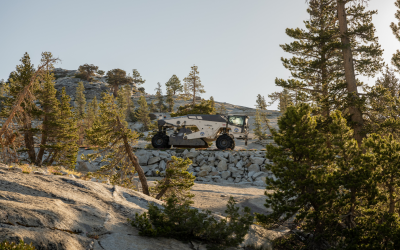 Experience Yosemite National Park: Seasonal Insights, Top Activities, And Travel Tips